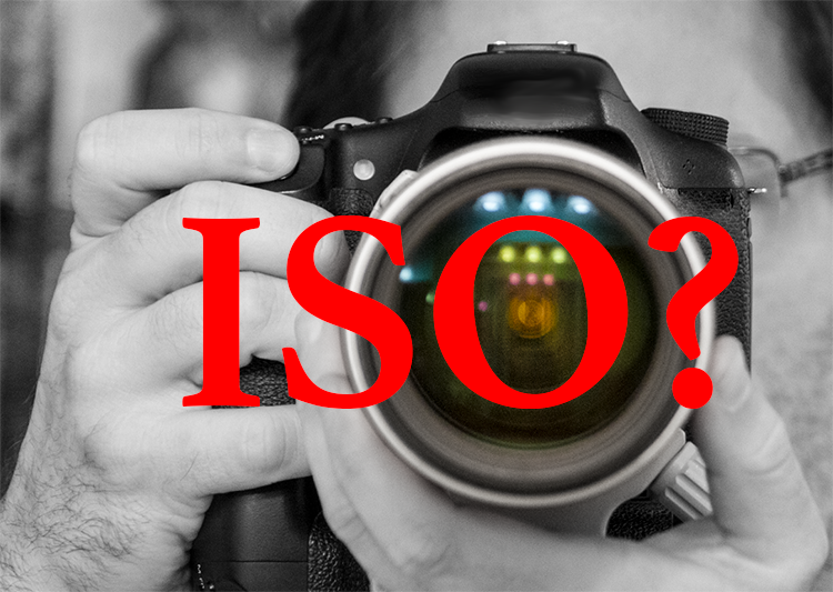 What’s The Highest ISO You Can Use? How To Find Out For Yourself